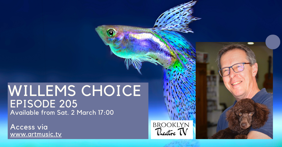 Willems Choice Episode 205 Thumbnail